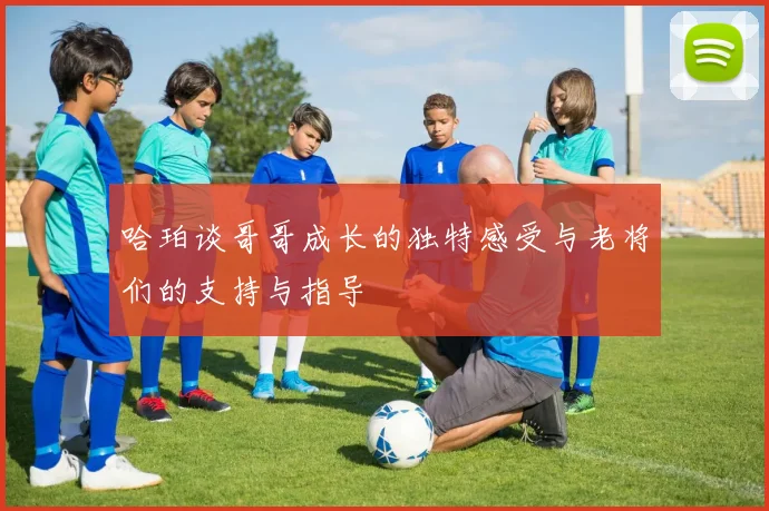 哈珀谈哥哥成长的独特感受与老将们的支持与指导